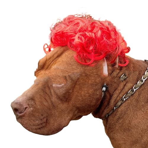 zhbotaolang Haustier-Perücken Kostüme Hund Katze Cosplay Kopfbedeckung Kleidung Haar Zubehör Perücke Headger Abdeckung für Haustier Dekorationen für Halloween-Weihnachtsfeiern,Rotes Lockiges Haar von zhbotaolang