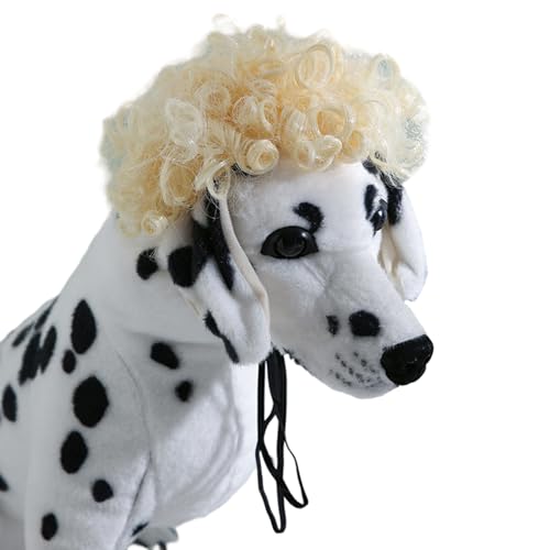 zhbotaolang Hund Katze Lustige Perücken Cosplay Haarschmuck für Haustiere Kopfbedeckung Synthetische Haustierperücke Kopfbedeckungen für Halloween,Blonde Gewellte Locken von zhbotaolang