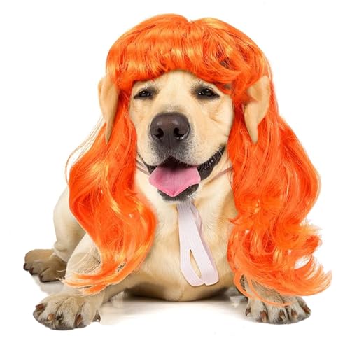 zhbotaolang Perücken für Haustiere Cosplay Haustier Dress Up Synthetische Perücken für Hunde und Katzen Quirky Haustier Kopfbedeckung Haar-Accessoires für Halloween Kostüm Party Weihnachten,Orange von zhbotaolang