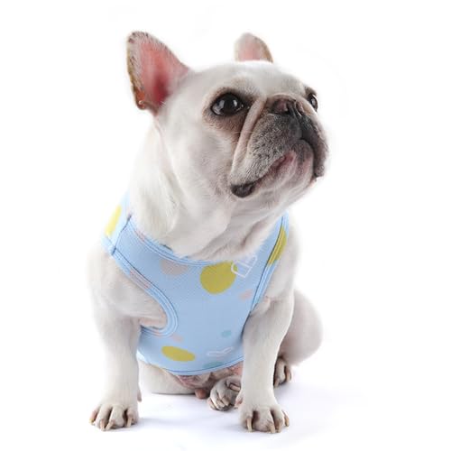 zhendehenziyou Hunde-Shirts, bedruckte Kleidung, niedlicher Sommer, kühlender Mantel, T-Shirts, cooles Welpen-Shirt, weiches Hunde-Sweatshirt für Haustiere, Hunde, Katzen, Outdoor (Größe M, Blau) von zhendehenziyou