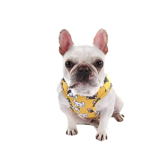 zhendehenziyou Hunde-Shirts, bedruckte Kleidung mit lustigem, niedlichem Design, kühlender Sommermantel, Haustier-T-Shirts, cooles Welpen-Shirt, Hunde-Outfit, weiches Hunde-Sweatshirt für Haustiere, von zhendehenziyou