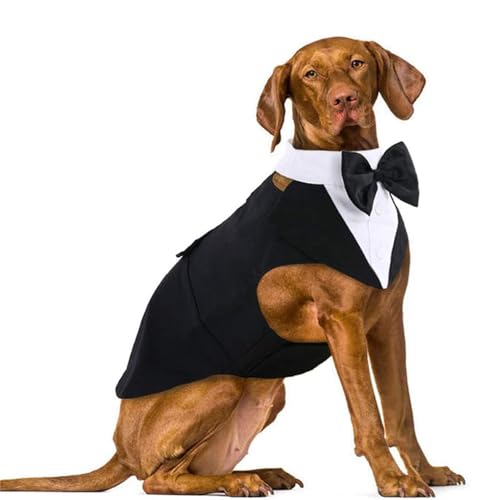 zhendehenziyou Smoking & Bandana Set Katze Hunde Smoking Party Anzug Welpe Prinz Hochzeit Fliege Hemd formelle Kleidung für Hunde (Medium) von zhendehenziyou