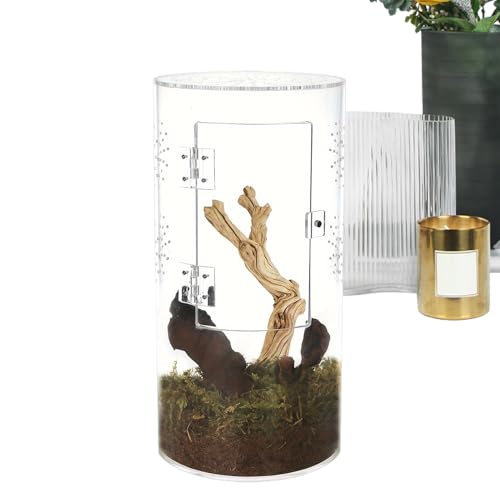 zjhukfmc Ransparent Reptilien-Futterbox, 20/29,2/30 cm, Glas, Reptilien-Terrarium, einfache Reinigung und Haltbarkeit, Acrylglas-Gehege für Spinnen, kleines Terrarium mit Vordertür zjhukfmc Ransparent Reptilien-Futterbox, 20/29,2/30 cm, Glas, Reptilien-Terrarium, einfache Reinigung und Haltbarkeit, Acrylglas-Gehege für Spinnen, kleines Terrarium mit Vordertür von zjhukfmc