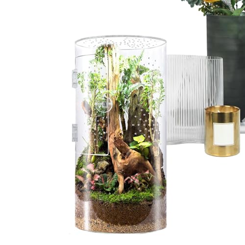 zjhukfmc Ransparent Reptilien-Futterbox, 20/29,2/30 cm, Glas, Reptilien-Terrarium, einfache Reinigung und Haltbarkeit, Acrylglas-Gehege für Spinnen, kleines Terrarium mit Vordertür zjhukfmc Ransparent Reptilien-Futterbox, 20/29,2/30 cm, Glas, Reptilien-Terrarium, einfache Reinigung und Haltbarkeit, Acrylglas-Gehege für Spinnen, kleines Terrarium mit Vordertür von zjhukfmc