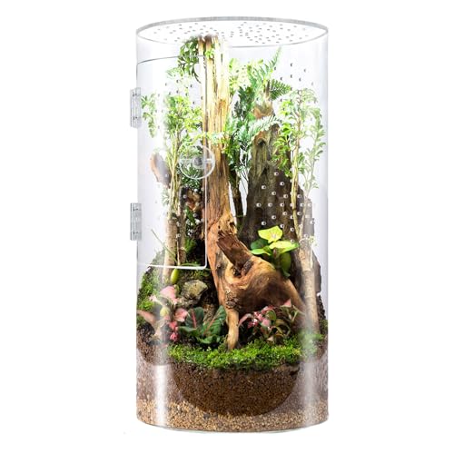 zjhukfmc Ransparent Reptilien-Futterbox, 20/29,2/30 cm, Glas, Reptilien-Terrarium, einfache Reinigung und Haltbarkeit, Acrylglas-Gehege für Spinnen, kleines Terrarium mit Vordertür zjhukfmc Ransparent Reptilien-Futterbox, 20/29,2/30 cm, Glas, Reptilien-Terrarium, einfache Reinigung und Haltbarkeit, Acrylglas-Gehege für Spinnen, kleines Terrarium mit Vordertür von zjhukfmc