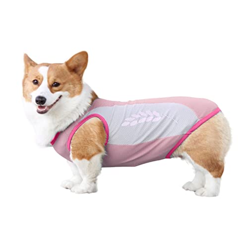 Hunde-Kühlweste – Sofort kühlende T-Shirts für den Sommer, Sonnenschutzjacke, leicht zum Spazierengehen, Laufen, hohe Sichtbarkeit für Outdoor-Aktivitäten von EELHOE