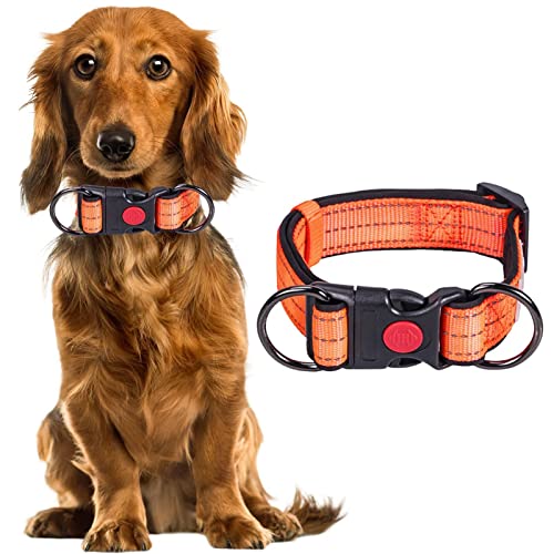 Verstellbares Hundehalsband, weiches, bequemes Nylon-Hundehalsband, Nylon-Haustier-Halsbänder für kleine, mittelgroße Hunde, Spazierengehen, Laufen, Training, schnell zu lösen von EELHOE