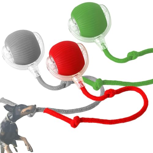 zoocco Chewie Viral Rolling Ball Dog Toy, Chewie Viral Rolling Ball, Interactive Rolling Dog Ball, Interactive Rolling Dog Ball Automatic Cat Toy (Gray+Green+Red) von zoocco