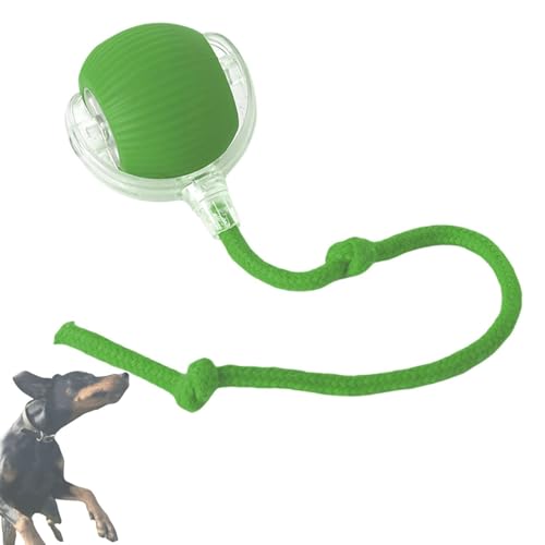 zoocco Chewie Viral Rolling Ball Dog Toy, Chewie Viral Rolling Ball, Interactive Rolling Dog Ball, Interactive Rolling Dog Ball Automatic Cat Toy (Green) von zoocco