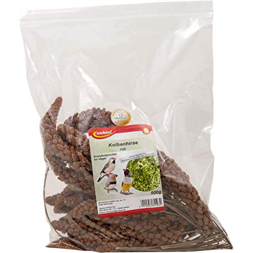 zookauf Vogel Snack Kolbenhirse rot 500 g von zookauf