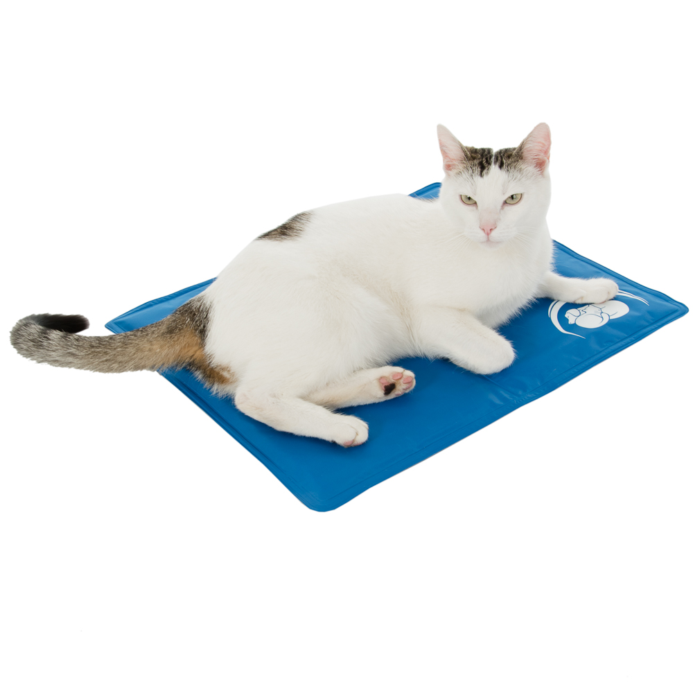 Kühlmatte Keep Cool - L 50 x B 40 cm Kühlmatte Keep Cool - L 50 x B 40 cm von zooplus Exclusive