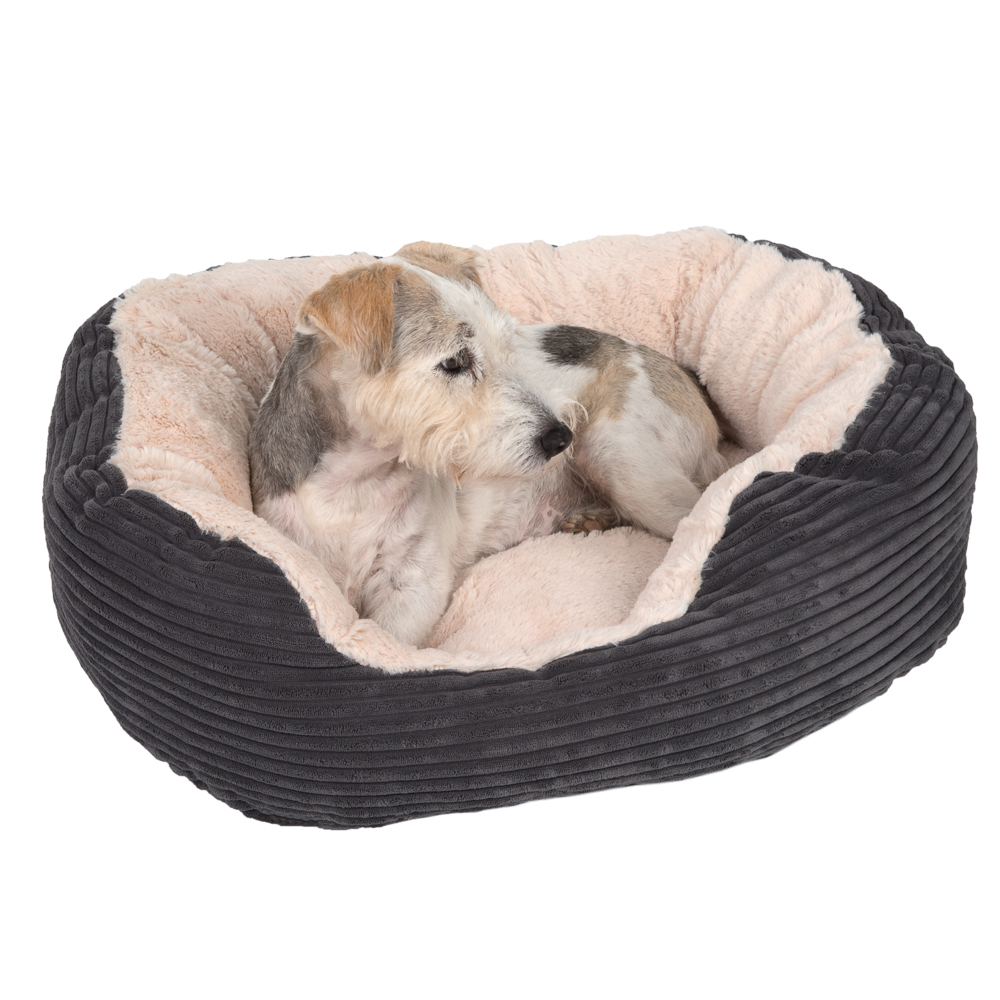 Kuschelbett Cozy Cord - L 63 x B 53 x H 15 cm Kuschelbett Cozy Cord - L 63 x B 53 x H 15 cm von zooplus Exclusive