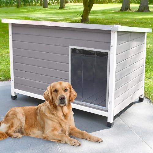 zooprinz Exklusive Hundehütte Jacky – aus wetterfestem & massivem Holz mit Metallrahmen, Dach zum Öffnen, Lamellentür & Kunststofffüßen – Hundehütte für Indoor und Outdoor (Hellgrau, XL) von zooprinz