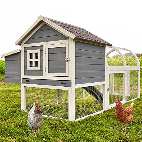 zooprinz Schöner Hühnerstall mit Runddach Voliere – aus massivem Vollholz – Stall mit Nistkasten und Kotschublade – schnell zu reinigen – witterungsbeständig Dank hochwertiger Lasur von zooprinz