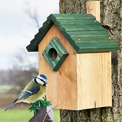 zooprinz Stabiler Nistkasten für Wildvögel/Gartenvögel mit sicherem Schutz gegen Nesträuber – witterungsbe-ständig und langlebig für draußen – 2 Farben zur Wahl - Nistkasten von zooprinz