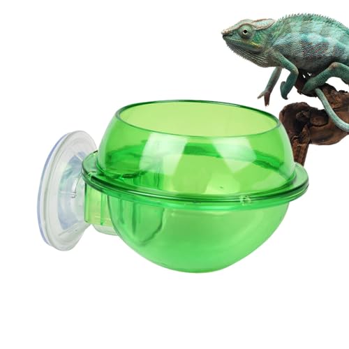 Chameleon Feeding Bowl,Gecko Ledge Water Dish | Gecko Ledge Suction Cup Feeder, Chameleon Food Bowl for Gecko Lizard Bearded Snakes Dragon von zwxqe