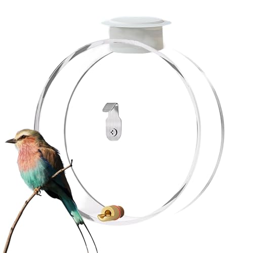 Clear Bird Water Feeder | Kleiner Vogelfutterspender | Hängender Vogeltränke | Haustier Vogel Wasserspender Transparent Vogelfutterspender Vogelwasserflasche Voliere Wasserspender Samenschutz von zwxqe