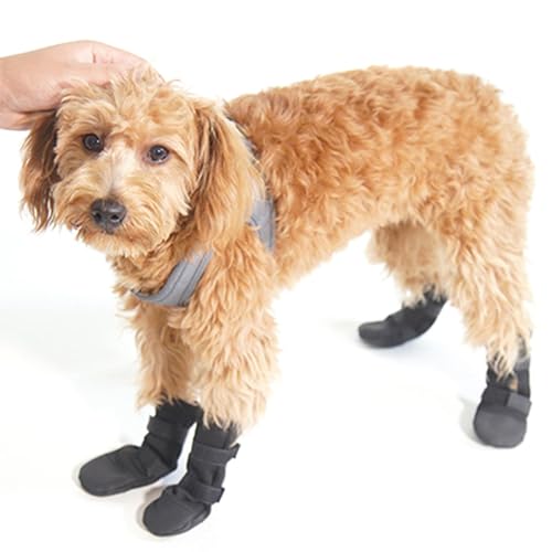 Hundesocken mit Greifern | Rutschfeste Hundesocken mit verstellbaren Riemen, Traktionskontrolle für drinnen auf Hartholzböden von zwxqe