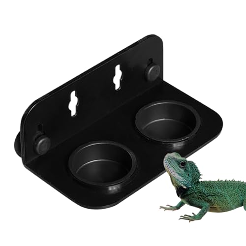 Reptile Food Feeder Bowl, Suction Cup Lizard Dish, 5.12x2.76x1.77 Inches Stable Compartment Accessory, Portable Feeding Tray, Practical Mealtime Solution for Bearded Habitat Reptile Food Feeder Bowl, Suction Cup Lizard Dish, 5.12x2.76x1.77 Inches Stable Compartment Accessory, Portable Feeding Tray, Practical Mealtime Solution for Bearded Habitat von zwxqe