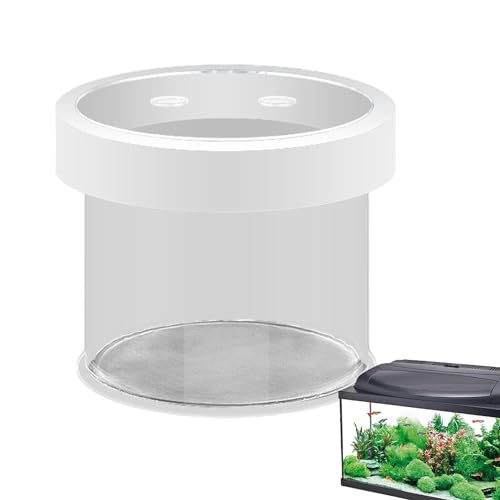 Schwimmende Züchterbox für Fische, Zuchtbox Fischtank Brutkasten mit 6 Saugnäpfen Acryl Schlüpfbox für Baby Fisch Garnelen Betta Kleine Fischzuchtbox von zwxqe