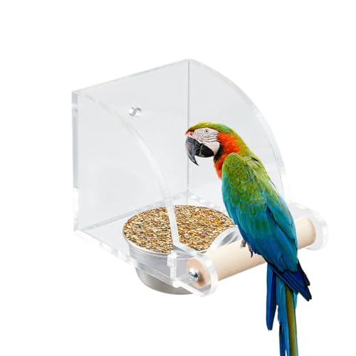 Zwxqe Indoor Bird Feeder, Transparent Cage Water Dispenser, Parrot Food Bowl, Interactive Foraging Toy, 3.07 Inches Feeding Dish for Cockatiel, Finch, Lovebirds, and Canary von zwxqe