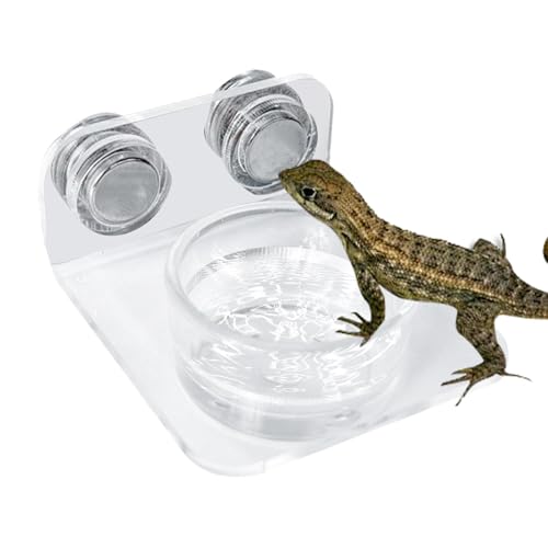 Zwxqe Magnetic Reptile Feeding Ledge, Suction Cup Gecko Food Tray, Easy-Mount Feeder, 3.39x2.6x1.18 Inches Stable Feeding Station for Lizards, Chameleons, and Tree Frogs von zwxqe