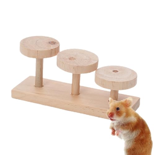 Kletterspielzeug | Hamster aus Holz | Hamsterkäfig aus Holz | Maus Kletterrampe Hamsterkäfig Zubehör Rennmaus Leiter Brücke Hamster Aktivitätsspielzeug Kleintier Kletterständer von zwxqe